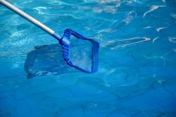 Cleaning,Pool,From,Garbage,With,Special,Net.,Clear,Water,With